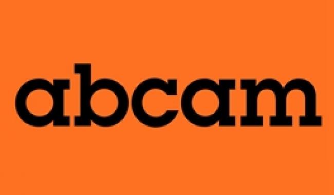 ab219800 Anti-GSDMD antibody [EPR20859] abcam