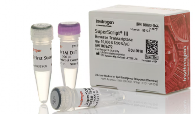  R25001 Gibco™ Zeocin™ Selection Reagent 8 x 1.25 mL