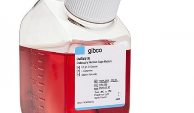 35050061 Gibco™ GlutaMAX™ Supplement 