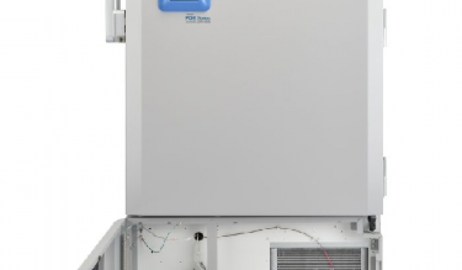 FDE60086FV Thermo Fisher Ultra Low Temperature Freezer Forma