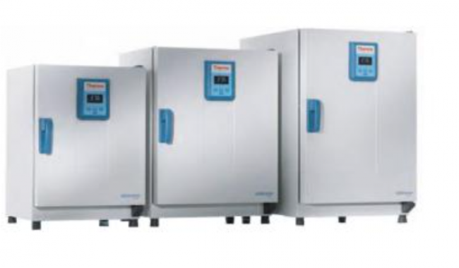 Thermo Scientific 51028131 Heratherm Incubator IGS100 4.1-cu ft | 117L